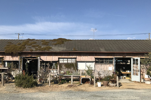 Rust HAMAMATU